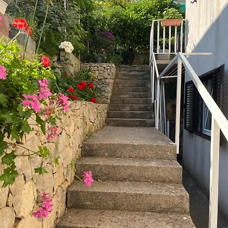 Despotovic Apartament