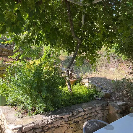 Apartmán Despotovic *