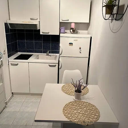 Apartament Despotovic Vis