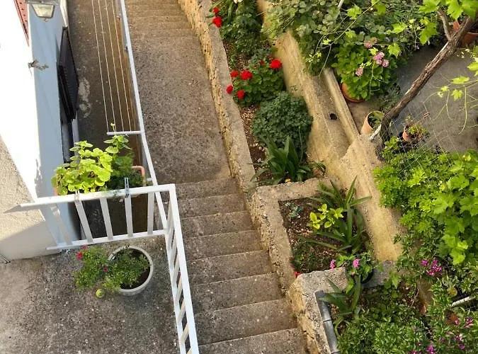 Apartmán Despotovic