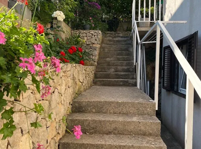 Despotovic Apartmán