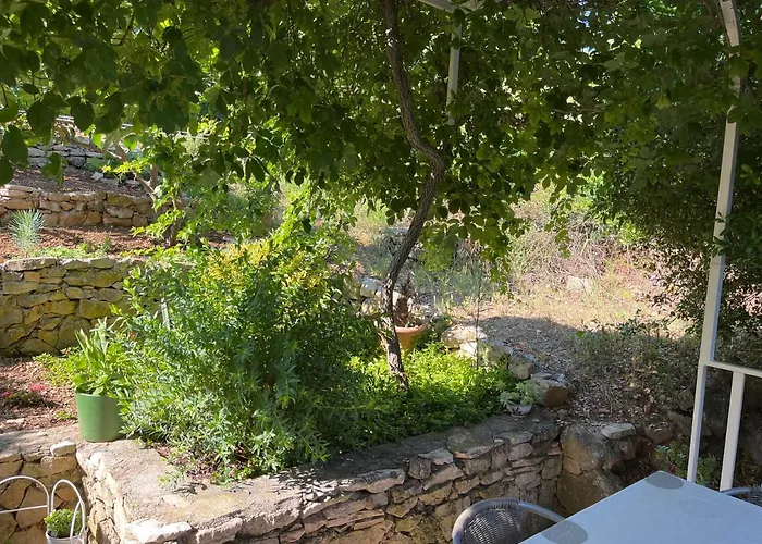 Apartmán Despotovic *