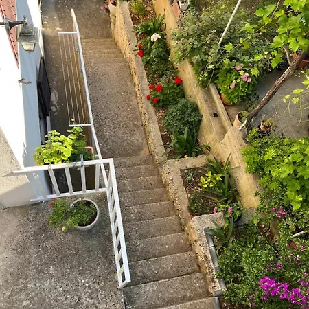 Appartement Despotovic