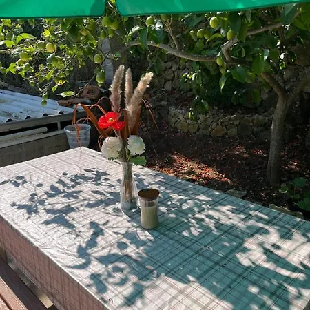 Despotovic Appartement Vis